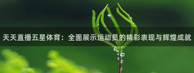 看球吧直播下载：天天直播五星体育：全面展示运动员的精彩表现与辉煌成就