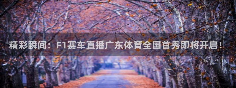 360免费直播超清 看球吧：精彩瞬间：F1赛车直播广东体育全国首秀即将开启！
