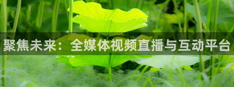 爱看球吧jrs直播：聚焦未来：全媒体视频直播与互动平台