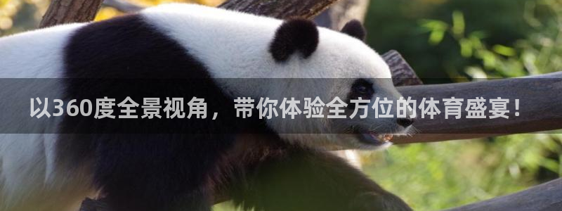 jrs直播看球吧：以360度全景视角，带你体验全方位的体育盛宴！