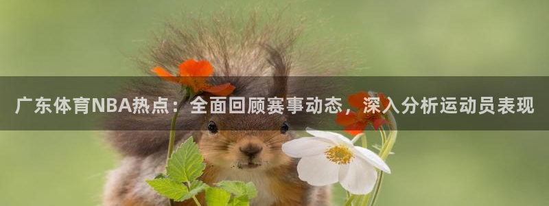 看球吧jrs低调直播：广东体育NBA热点：全面回顾赛事动态，深入分析运动员表现