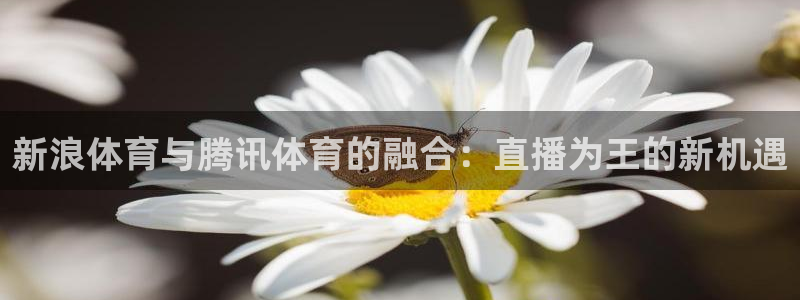 看球吧 直播：新浪体育与腾讯体育的融合：直播为王的新机遇