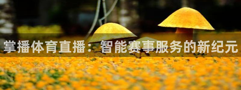 看球吧直播nba：掌播体育直播：智能赛事服务的新纪元
