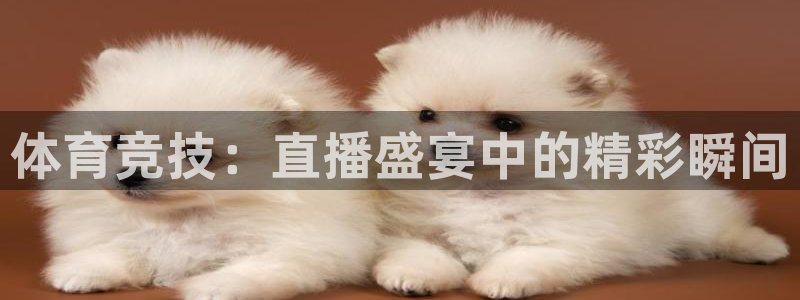 看球吧 直播：体育竞技：直播盛宴中的精彩瞬间