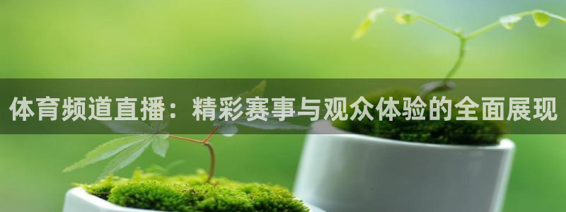 jrs直播低调看球吧：体育频道直播：精彩赛事与观众体验的全面展现