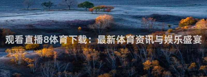 看球吧直播nba直播：观看直播8体育下载：最新体育资讯与娱乐盛宴