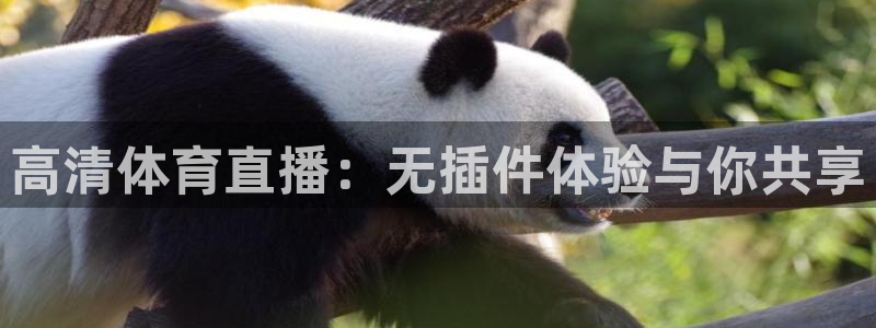足球直播看球吧：高清体育直播：无插件体验与你共享